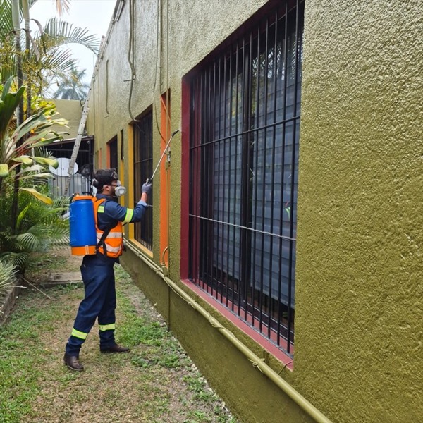 Fumigación de Fachadas y Exteriores ALM